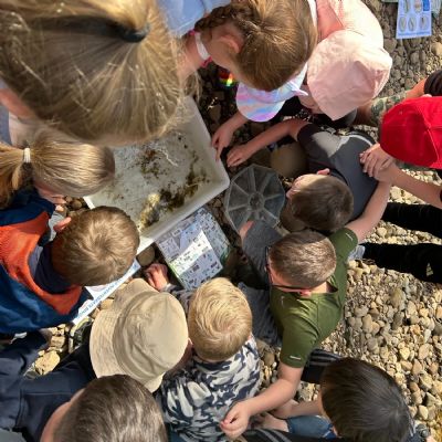 Year 4 Abbeystead Trip